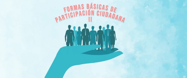 Formas básicas de Participación Ciudadana (II)